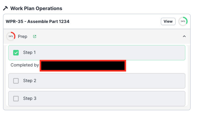 Work Plan within Workflow view